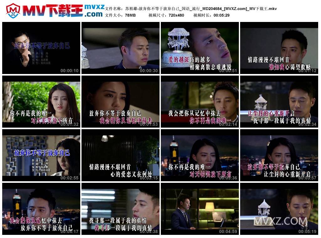 苏祖雄-放弃你不等于放弃自己_国语_流行_MD204684